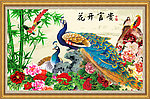 花开富贵孔雀图
