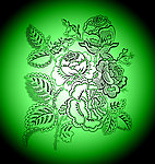 花纹
