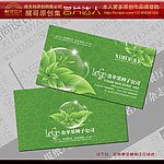 绿色名片