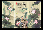荷花国画
