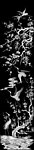 浮雕灰度图
