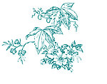 花纹