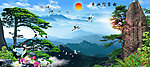黄山迎客松