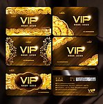 VIP卡 VIP金卡