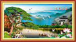 黄山迎客松