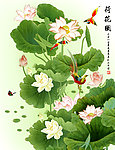 荷花