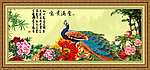 富贵花开