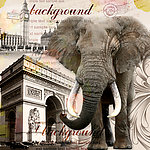 欧美油画 装饰画