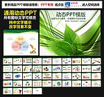 模板 PPT