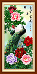 牡丹 牡丹花
