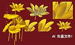 金莲花 荷花