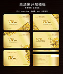 金卡 VIP 会员卡