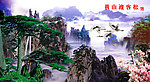 黄山迎客松