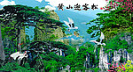 黄山迎客松