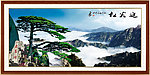 黄山 迎客松