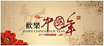 欢乐中国年