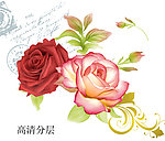 玫瑰花 手绘效果图 psd分层文件