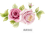 手绘玫瑰花 PSD分层
