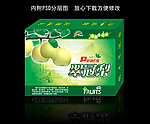 锦丰生态果园翠冠梨