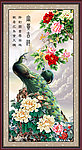 孔雀
