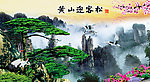 黄山迎客松