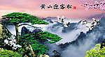 黄山迎客松