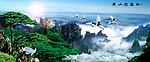 黄山迎客松