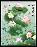 荷花