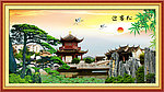 风景