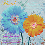 欧美风格装饰画 雏菊