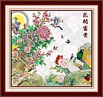 富贵花开