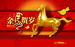 金马贺岁