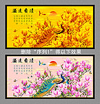 玉兰花