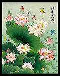 荷花