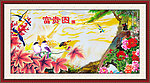 富贵花开