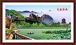 黄山迎客松