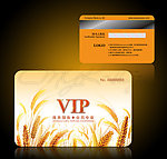 金色小麦会员卡
