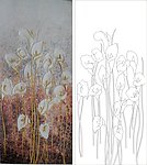 马蹄莲 百合花 抽象