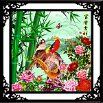 花开富贵 牡丹花