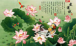 荷花
