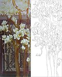 玉兰花