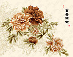 花 花卉 大牡丹花