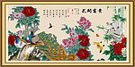 牡丹 花开富贵