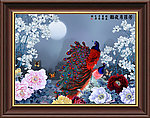 富贵牡丹