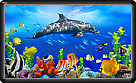 海洋生物
