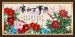 牡丹 花开富贵
