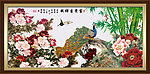 牡丹 花开富贵