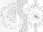 精品雕刻图案