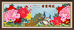 牡丹 花开富贵
