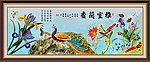 兰花 雅室兰香